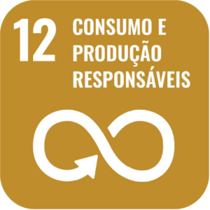 ods 12 consumo e produção responsáveis