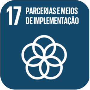 ods 17 parcerias e meios de implementação